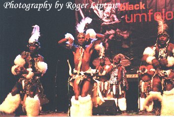 Black Umfolosi