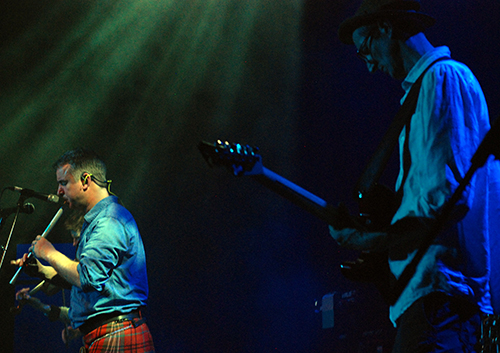 Peatbog Faeries
